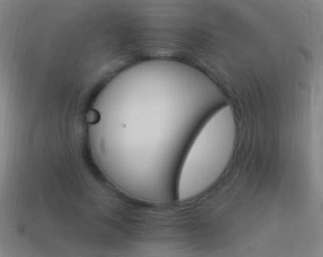 X0000114520743200910190949