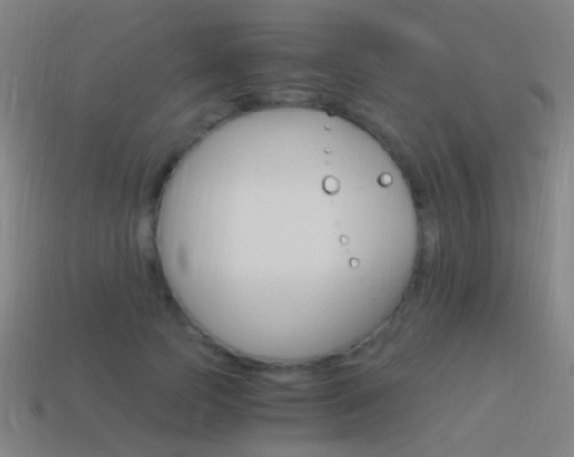 X0000114520745200910190949