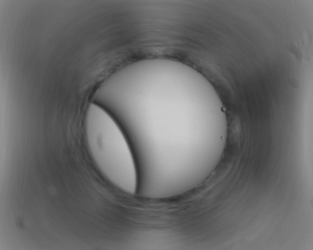 X0000114520746200910190949
