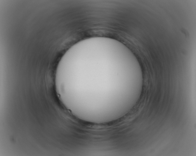 X0000114520751200910190949
