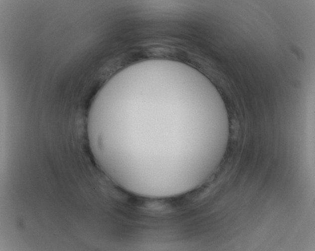 X0000114520753200910190949
