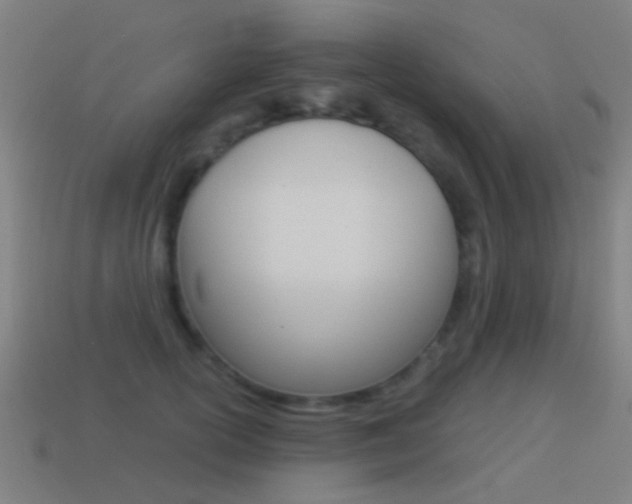 X0000114520754200910190949