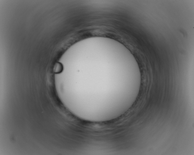 X0000114520755200910190949