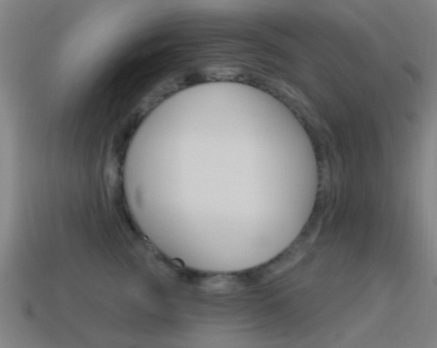 X0000114520761200910190949