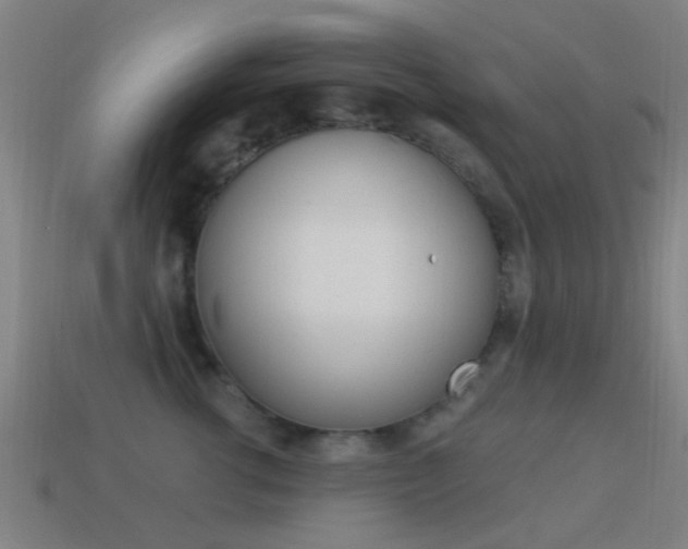 X0000114520762200910190949