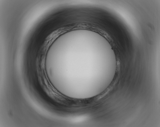 X0000114520765200910190949