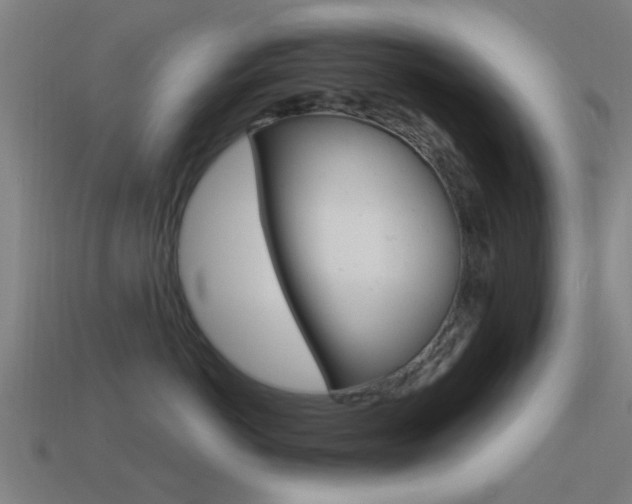 X0000114520766200910190949