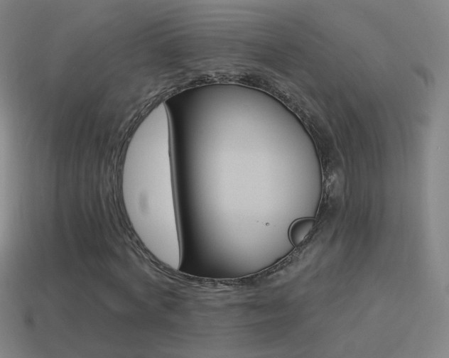 X0000114520772200910190949