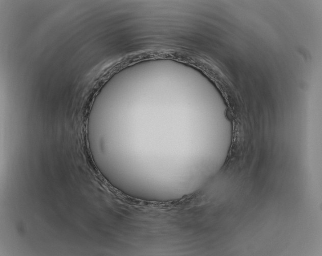 X0000114520773200910190949
