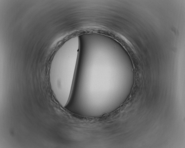 X0000114520775200910190949
