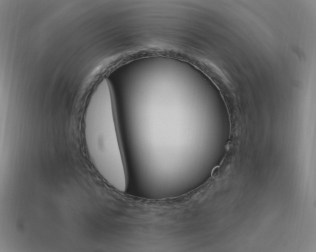 X0000114520776200910190949