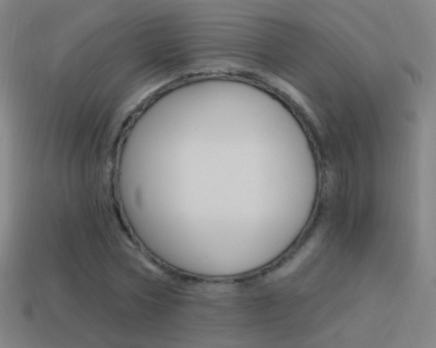 X0000114520778200910190949