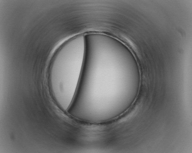 X0000114520779200910190949
