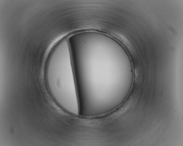 X0000114520780200910190949