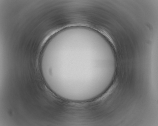X0000114520781200910190949