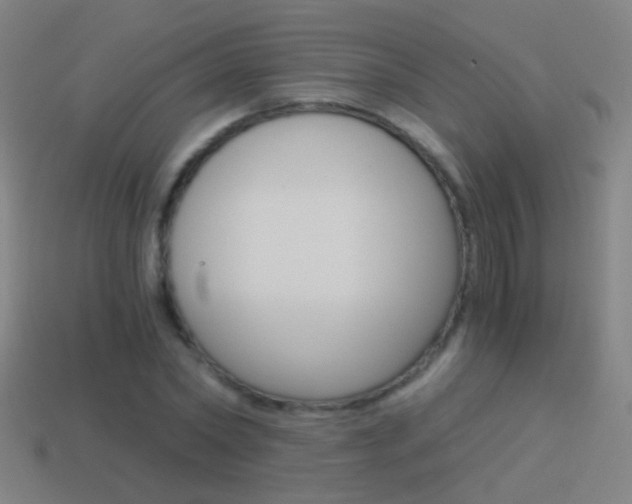 X0000114520782200910190949