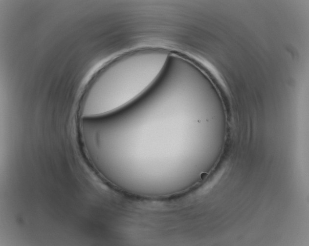X0000114520783200910190949