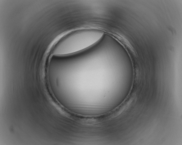 X0000114520784200910190949