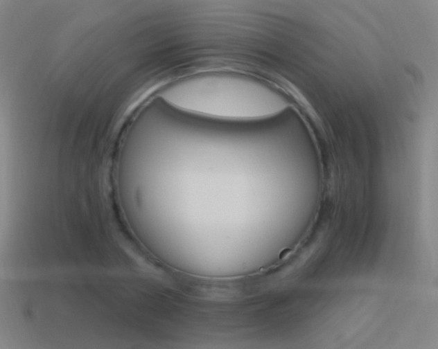 X0000114520786200910190949