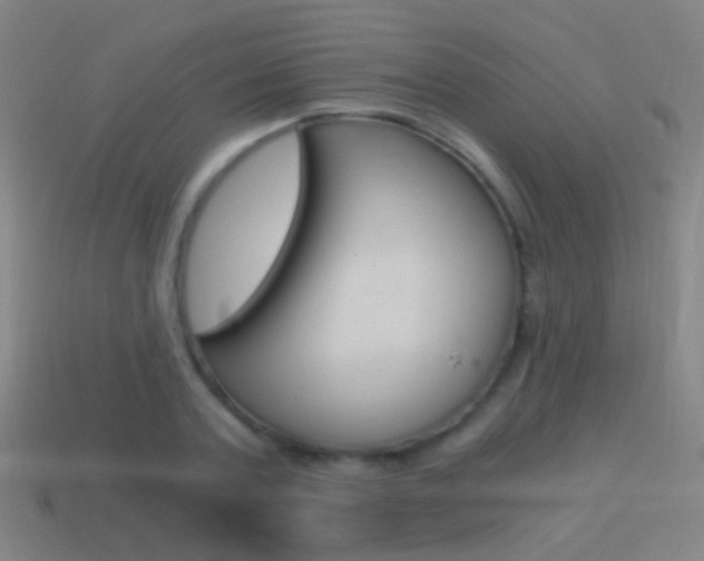 X0000114520787200910190949
