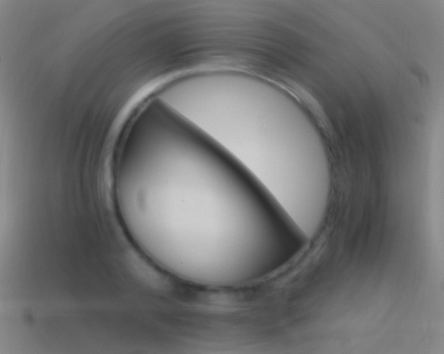 X0000114520792200910190949
