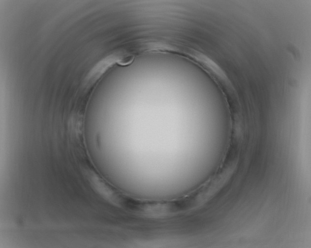 X0000114520793200910190949
