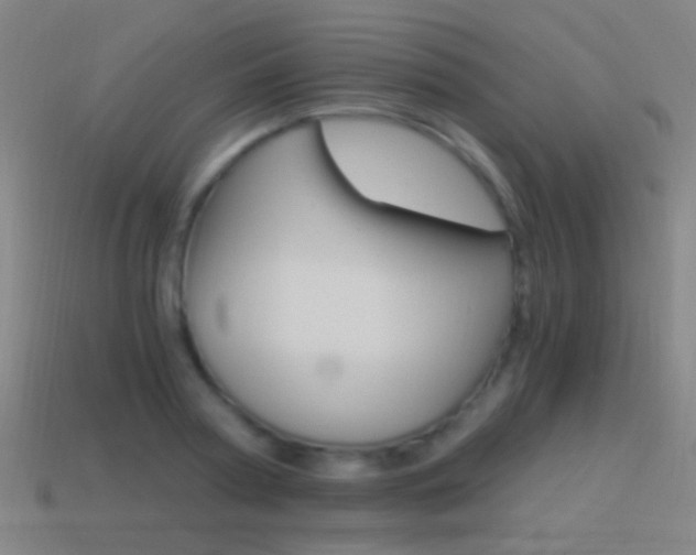 X0000114520794200910190949