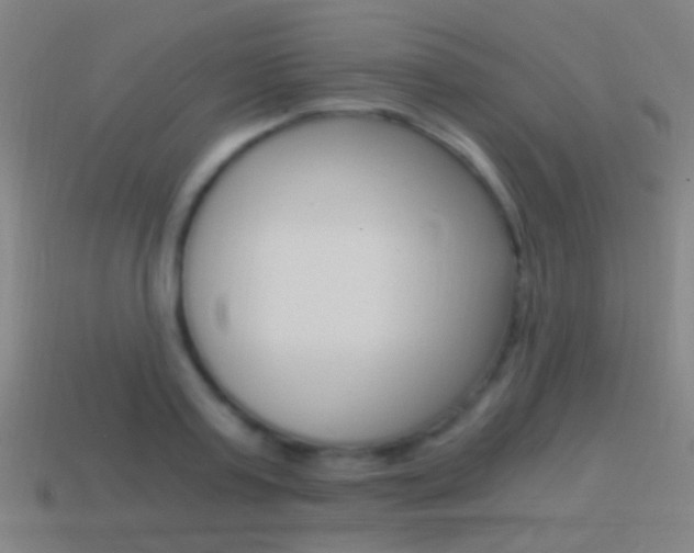 X0000114520795200910190949