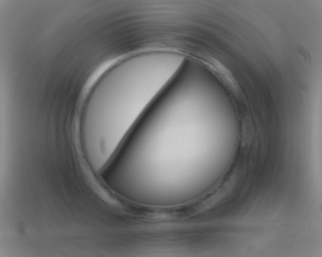 X0000114520796200910190949