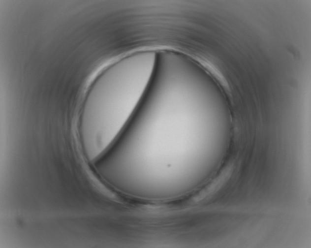 X0000114520797200910190949
