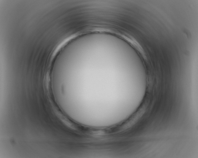 X0000114520798200910190948