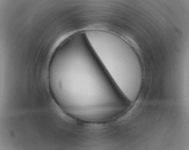 X0000114520800200910190948