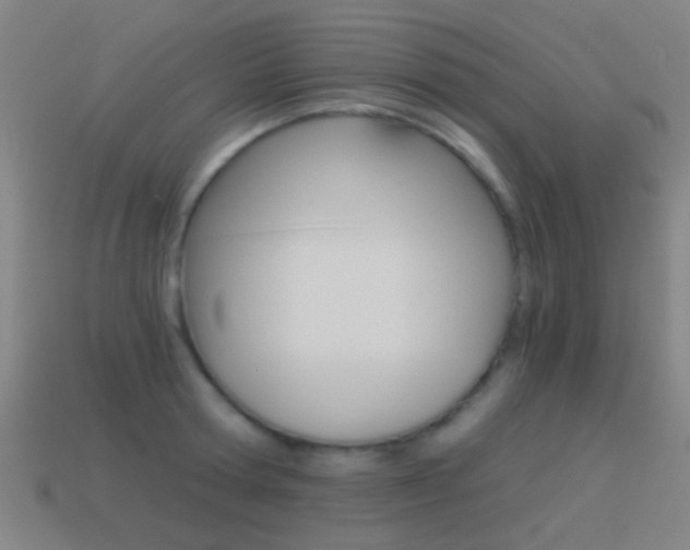 X0000114520802200910190948