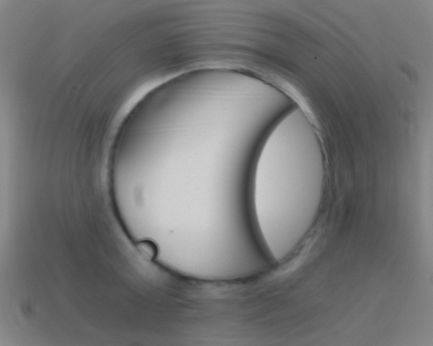 X0000114520803200910190948