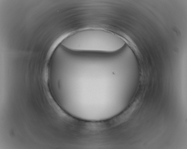 X0000114520804200910190948