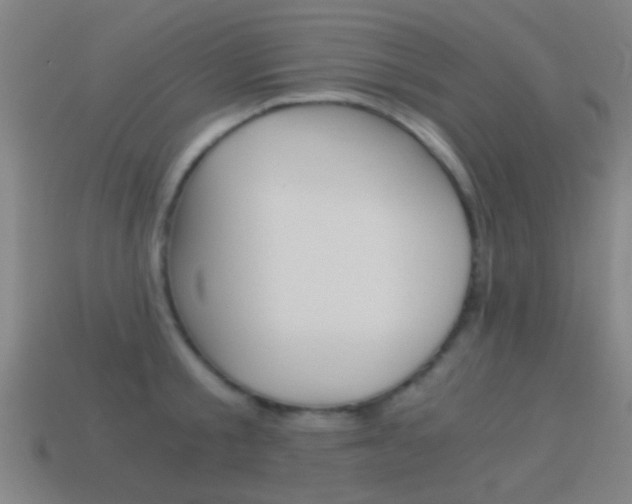 X0000114520805200910190948