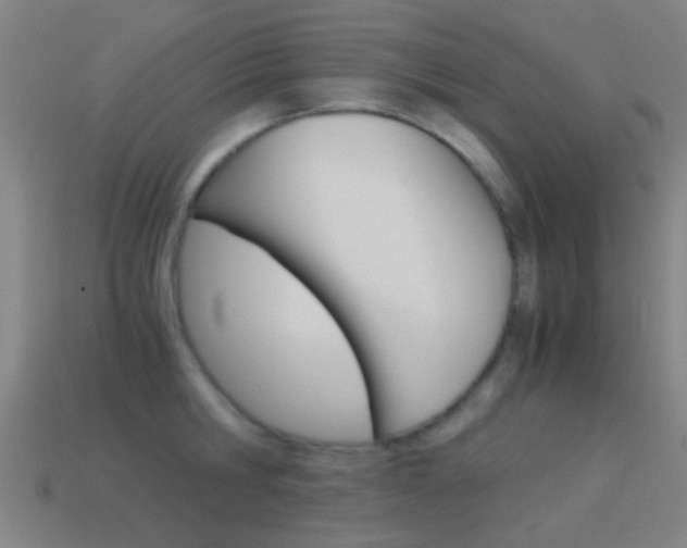 X0000114520806200910190948