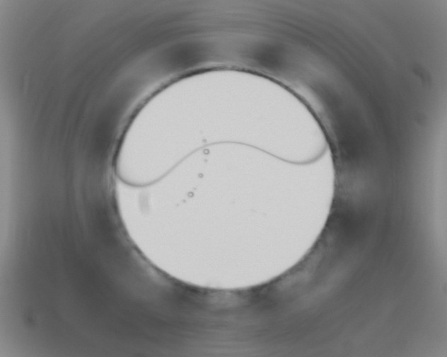 X0000114520807200910190948
