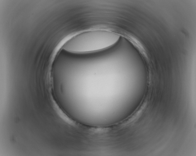 X0000114520808200910190948