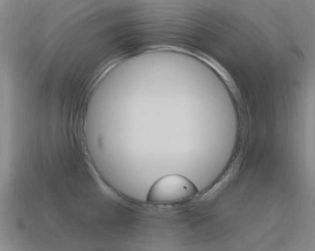 X0000114520809200910190948