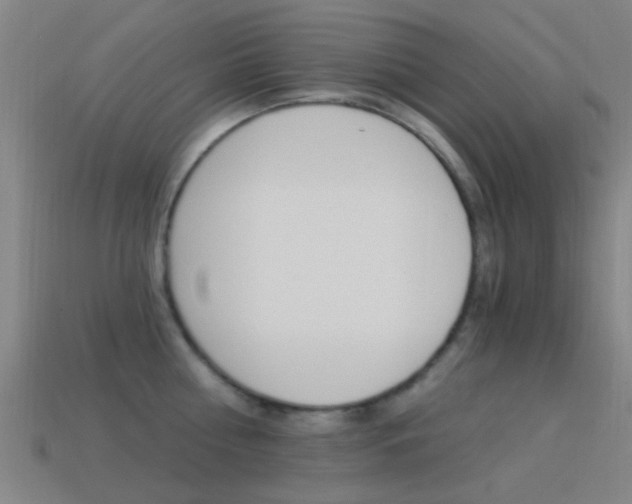 X0000114520810200910190948