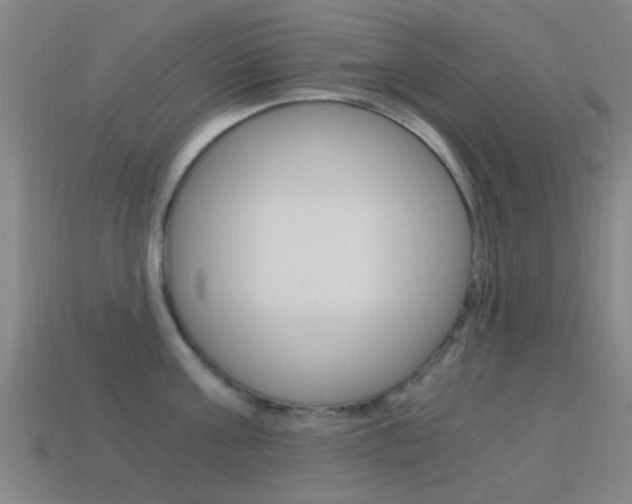 X0000114520811200910190948