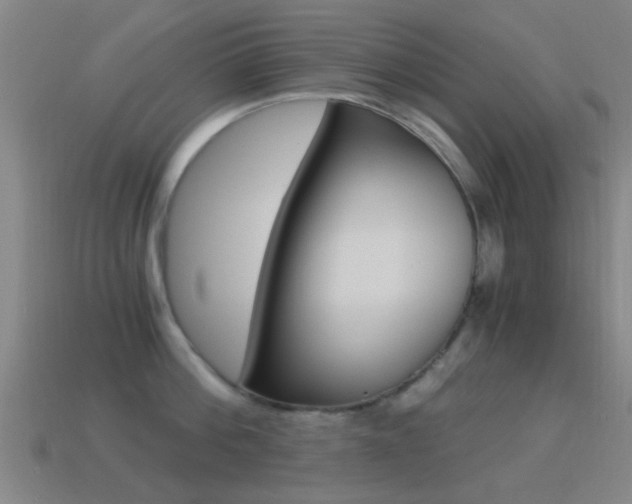 X0000114520812200910190948