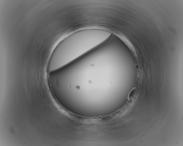X0000114520813200910190948