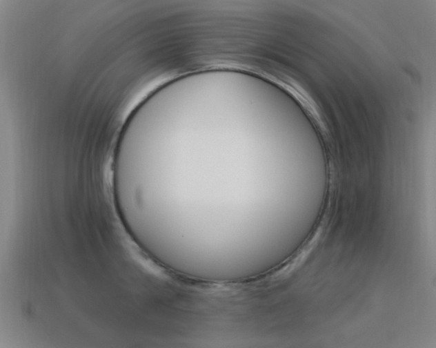 X0000114520814200910190948