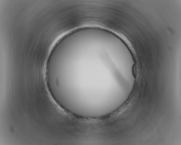 X0000114520815200910190948