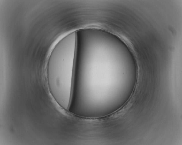 X0000114520816200910190948