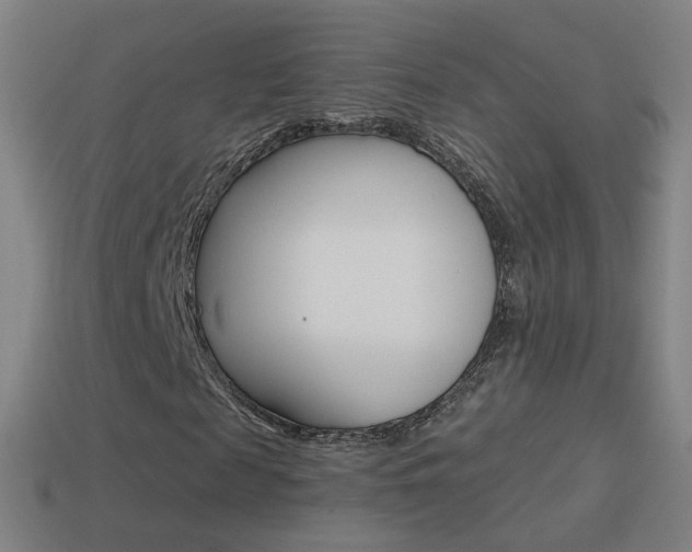 X0000114520817200910190948