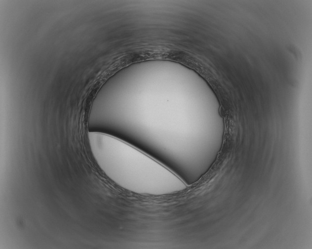 X0000114520818200910190948