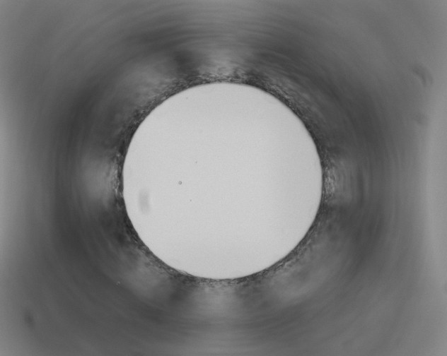 X0000114520820200910190948